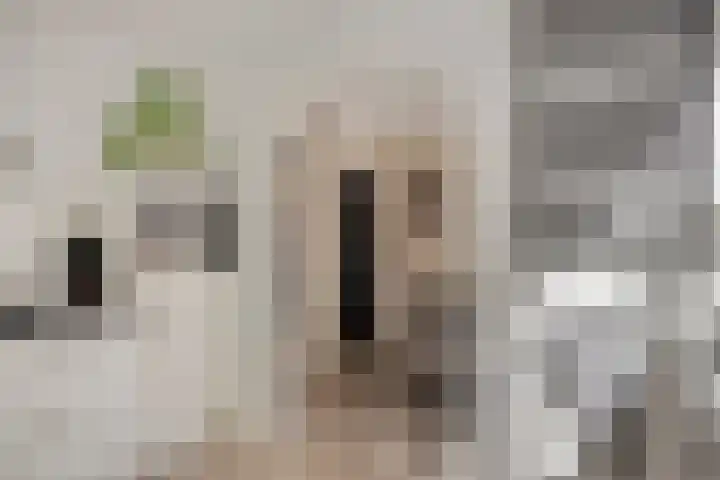 Potgieterstraat 17 Vaassen thumbnail 20