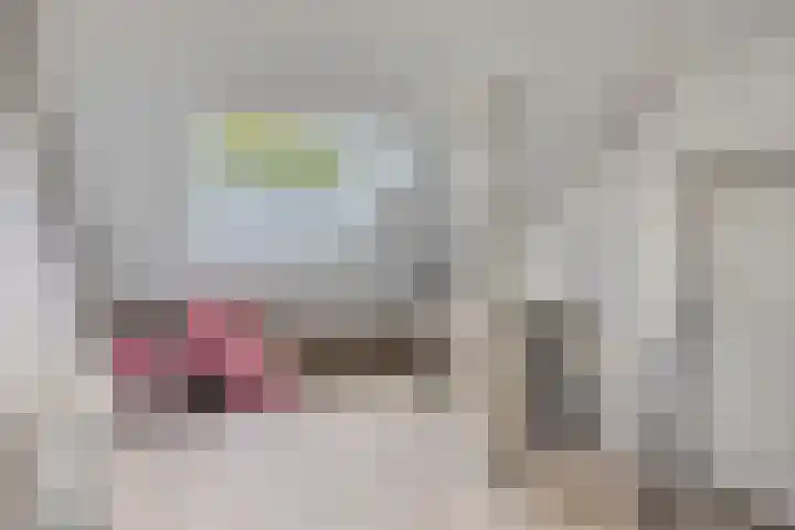 Potgieterstraat 17 Vaassen thumbnail 33