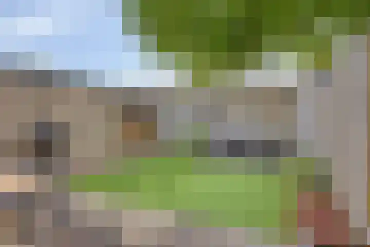 Potgieterstraat 17 Vaassen thumbnail 35