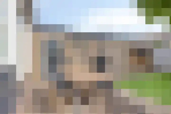 Potgieterstraat 17 Vaassen thumbnail 36