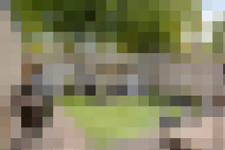 Potgieterstraat 17 Vaassen thumbnail 37