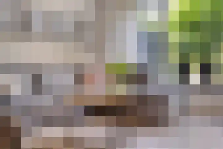 Potgieterstraat 17 Vaassen thumbnail 5