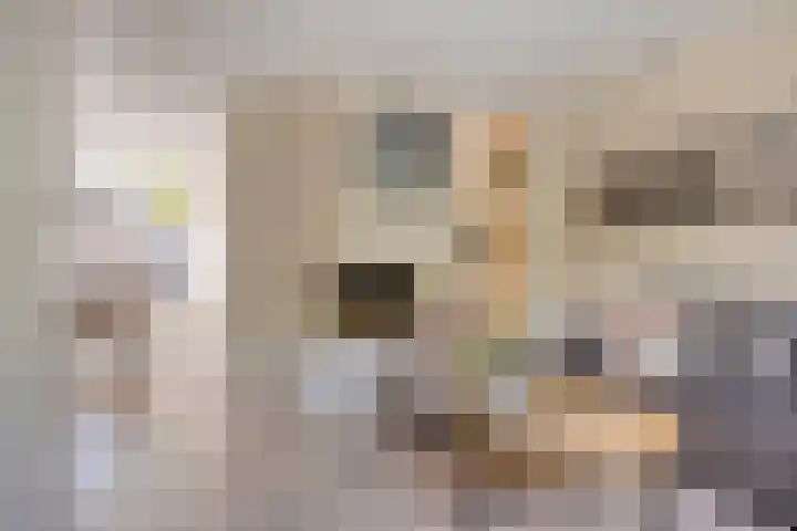 Potgieterstraat 17 Vaassen thumbnail 6