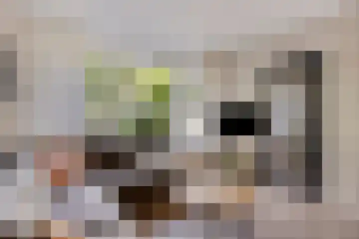 Potgieterstraat 17 Vaassen thumbnail 7