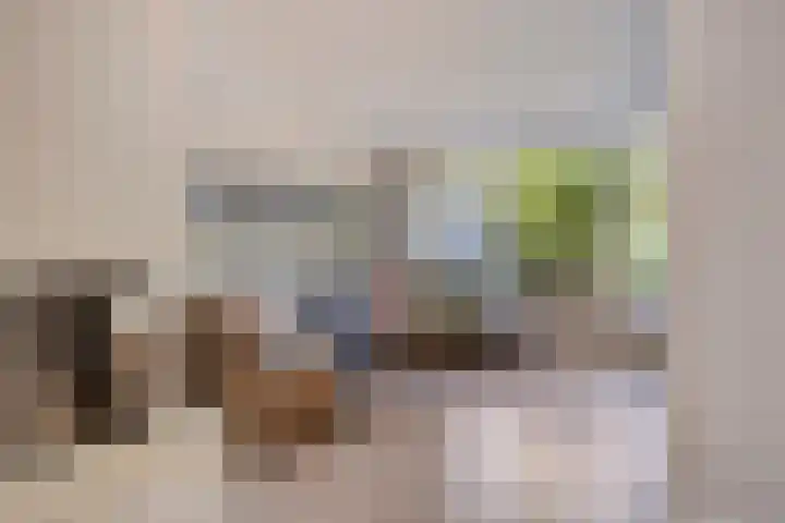 Potgieterstraat 17 Vaassen thumbnail 8