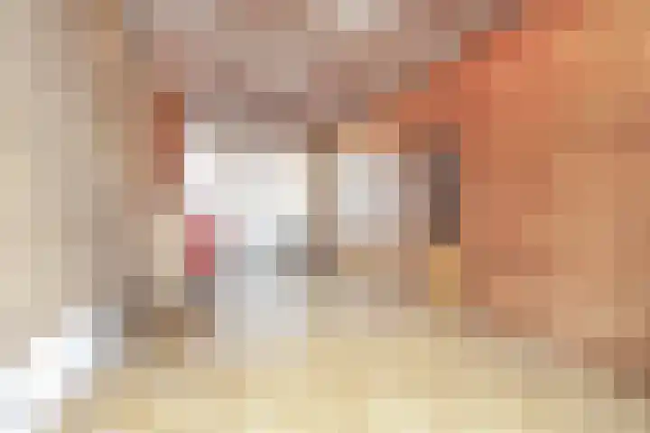 Potgieterstraat 19 Haarlem thumbnail 6