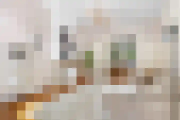 Potgieterstraat 2 4 Amsterdam thumbnail 6