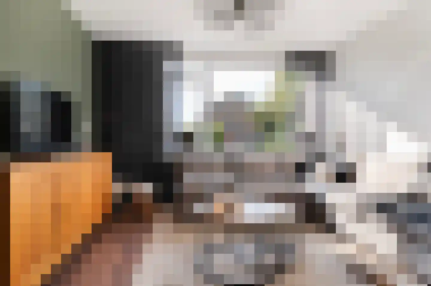 Potgieterstraat 2 Goor thumbnail 16