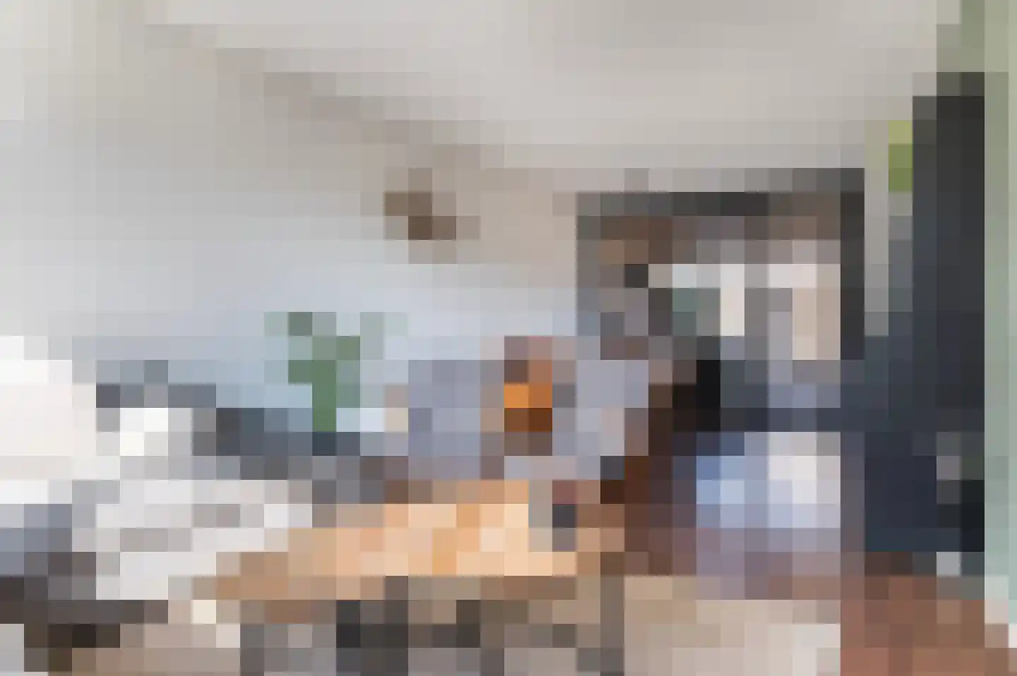 Potgieterstraat 2 Goor thumbnail 17