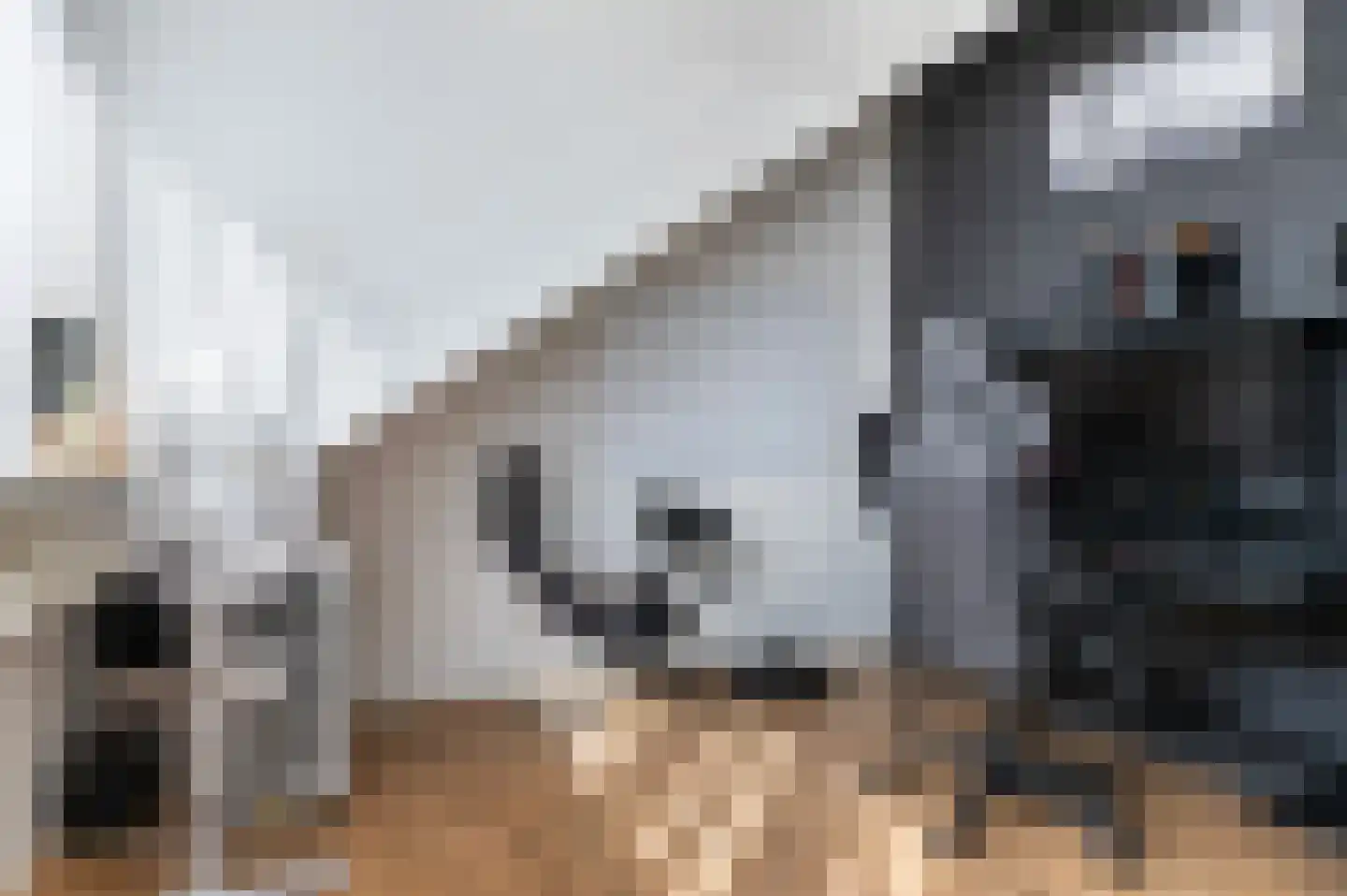 Potgieterstraat 2 Goor thumbnail 28