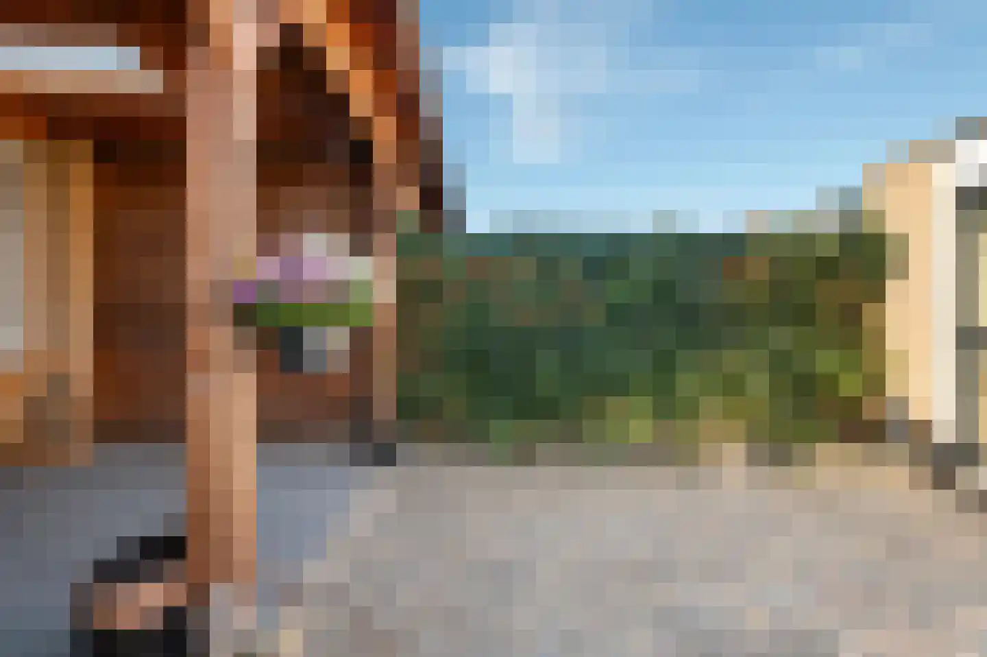 Potgieterstraat 2 Goor thumbnail 4