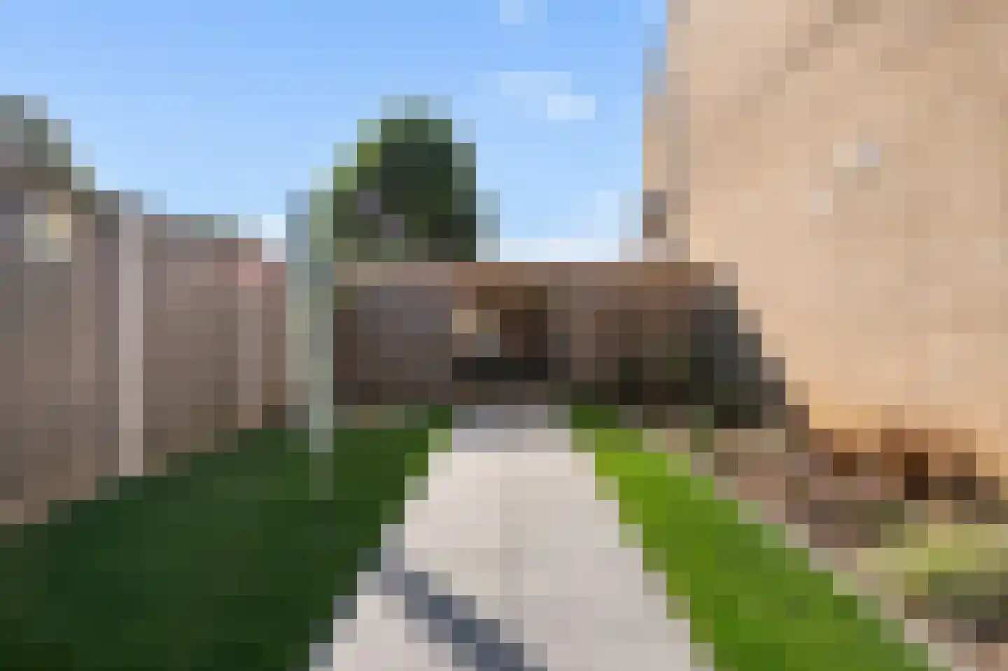 Potgieterstraat 2 Goor thumbnail 6