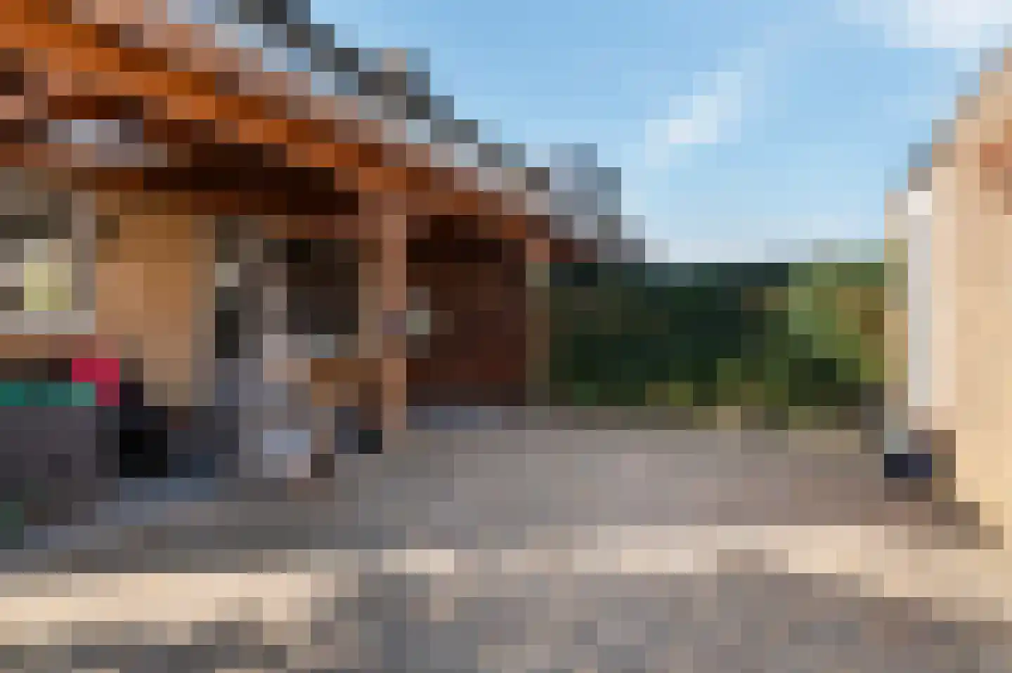 Potgieterstraat 2 Goor thumbnail 8