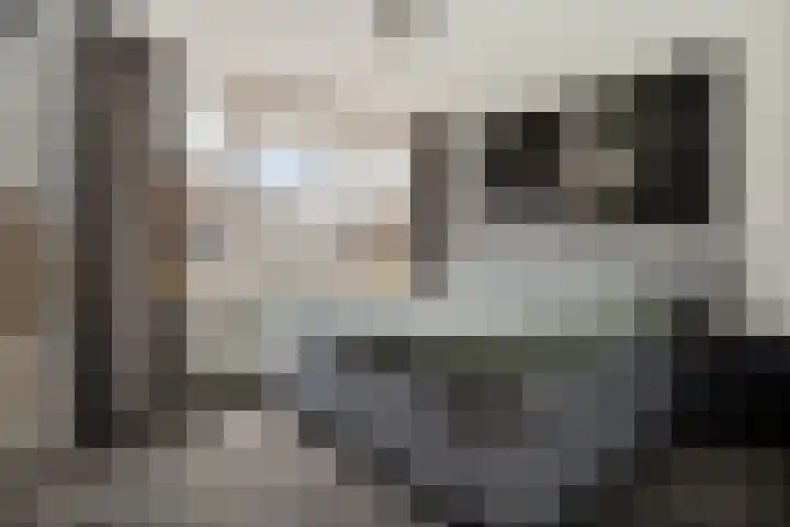 Potgieterstraat 2 Steenwijk thumbnail 21