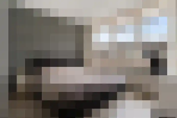 Potgieterstraat 2 Steenwijk thumbnail 22