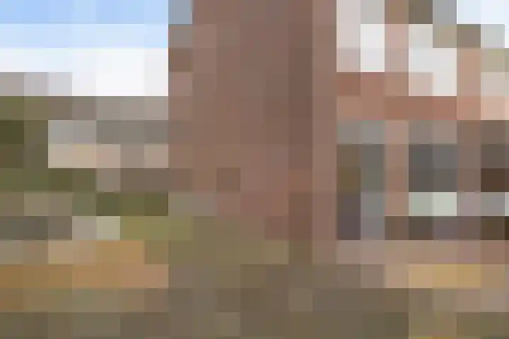 Potgieterstraat 2 Steenwijk thumbnail 30