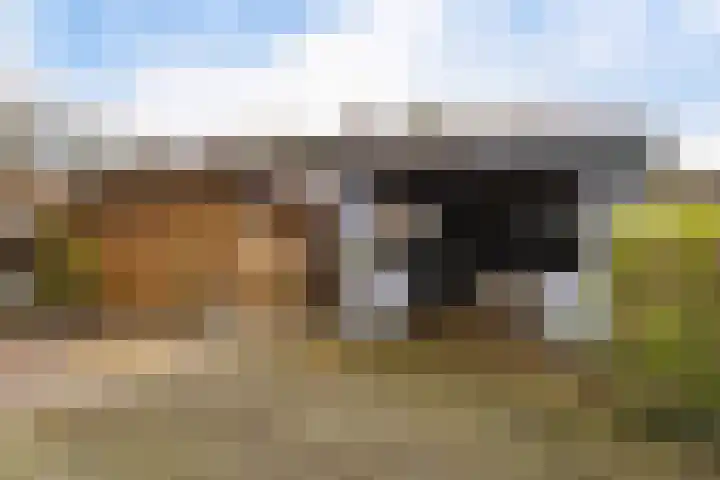 Potgieterstraat 2 Steenwijk thumbnail 32