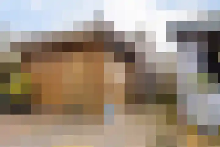 Potgieterstraat 2 Steenwijk thumbnail 33
