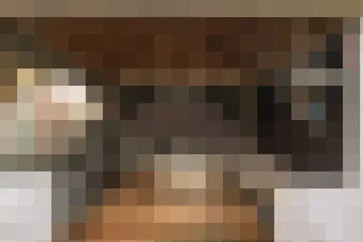Potgieterstraat 2 Steenwijk thumbnail 5