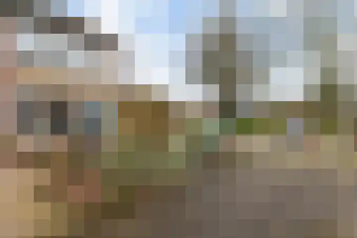 Potgieterstraat 2 Steenwijk thumbnail 7
