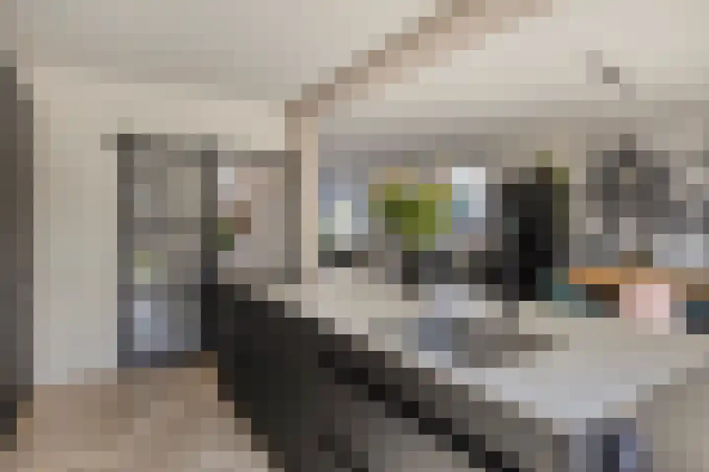 Potgieterstraat 20 Lichtenvoorde thumbnail 11