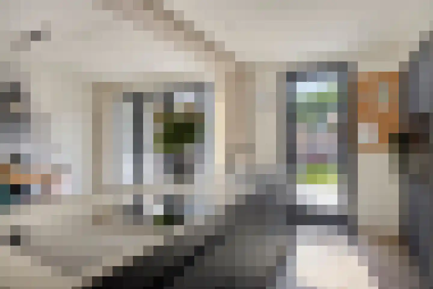 Potgieterstraat 20 Lichtenvoorde thumbnail 13