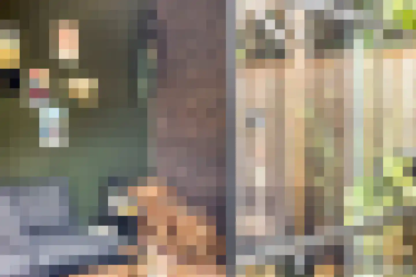 Potgieterstraat 20 Lichtenvoorde thumbnail 36