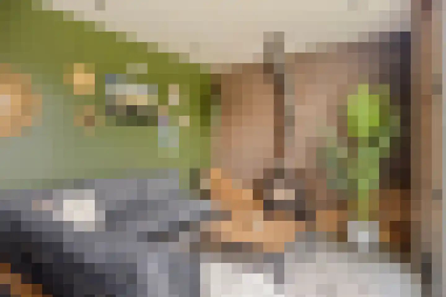 Potgieterstraat 20 Lichtenvoorde thumbnail 37