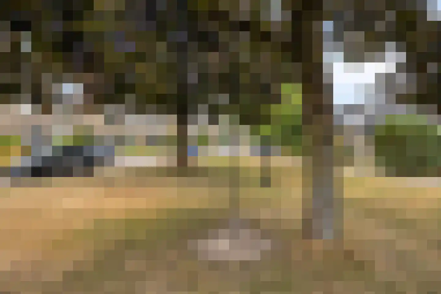 Potgieterstraat 20 Lichtenvoorde thumbnail 39