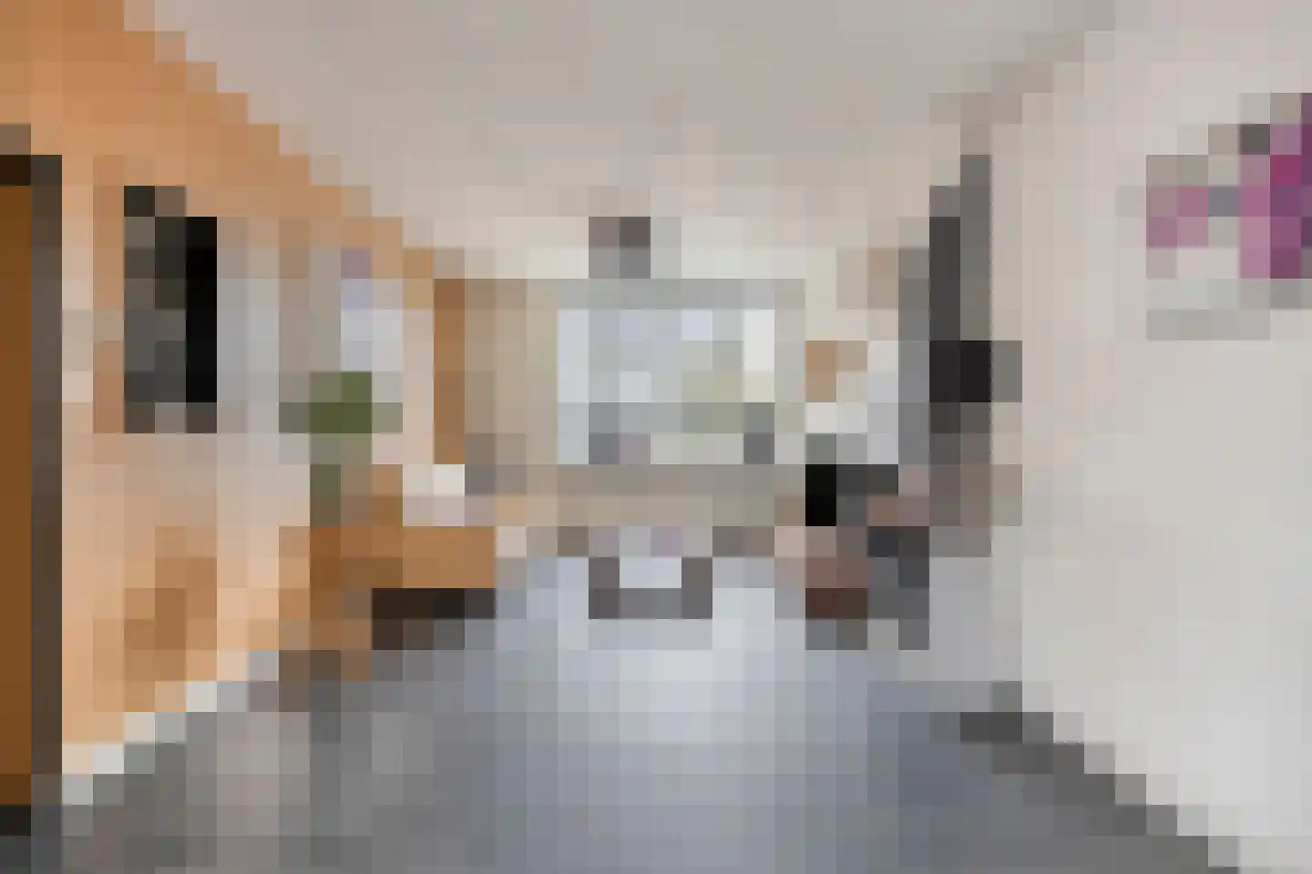 Potgieterstraat 20 Vlijmen thumbnail 10