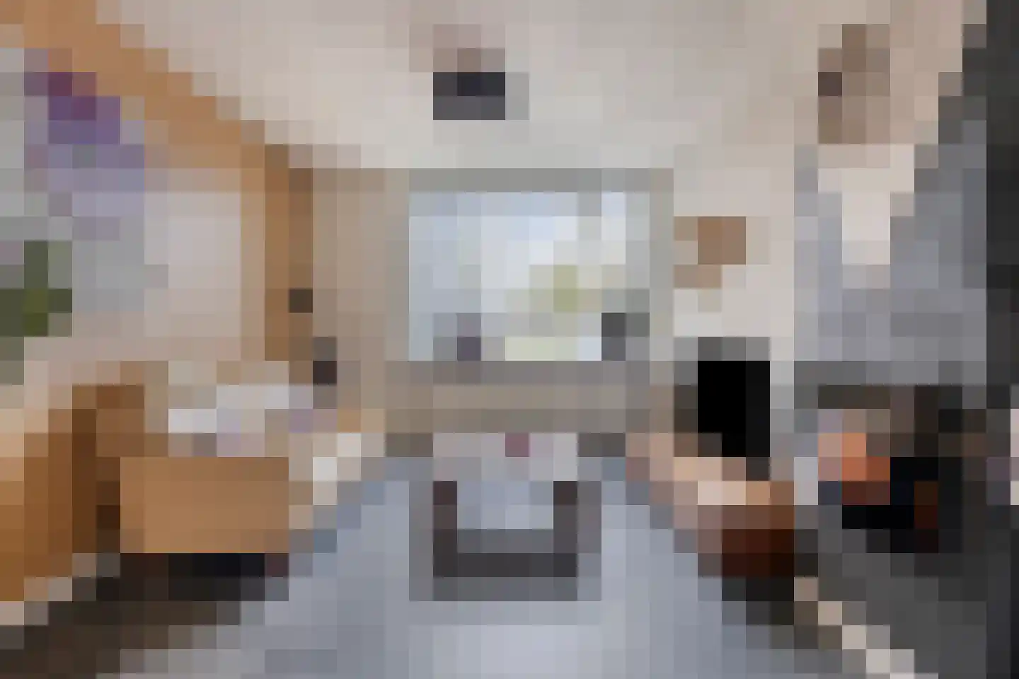 Potgieterstraat 20 Vlijmen thumbnail 11