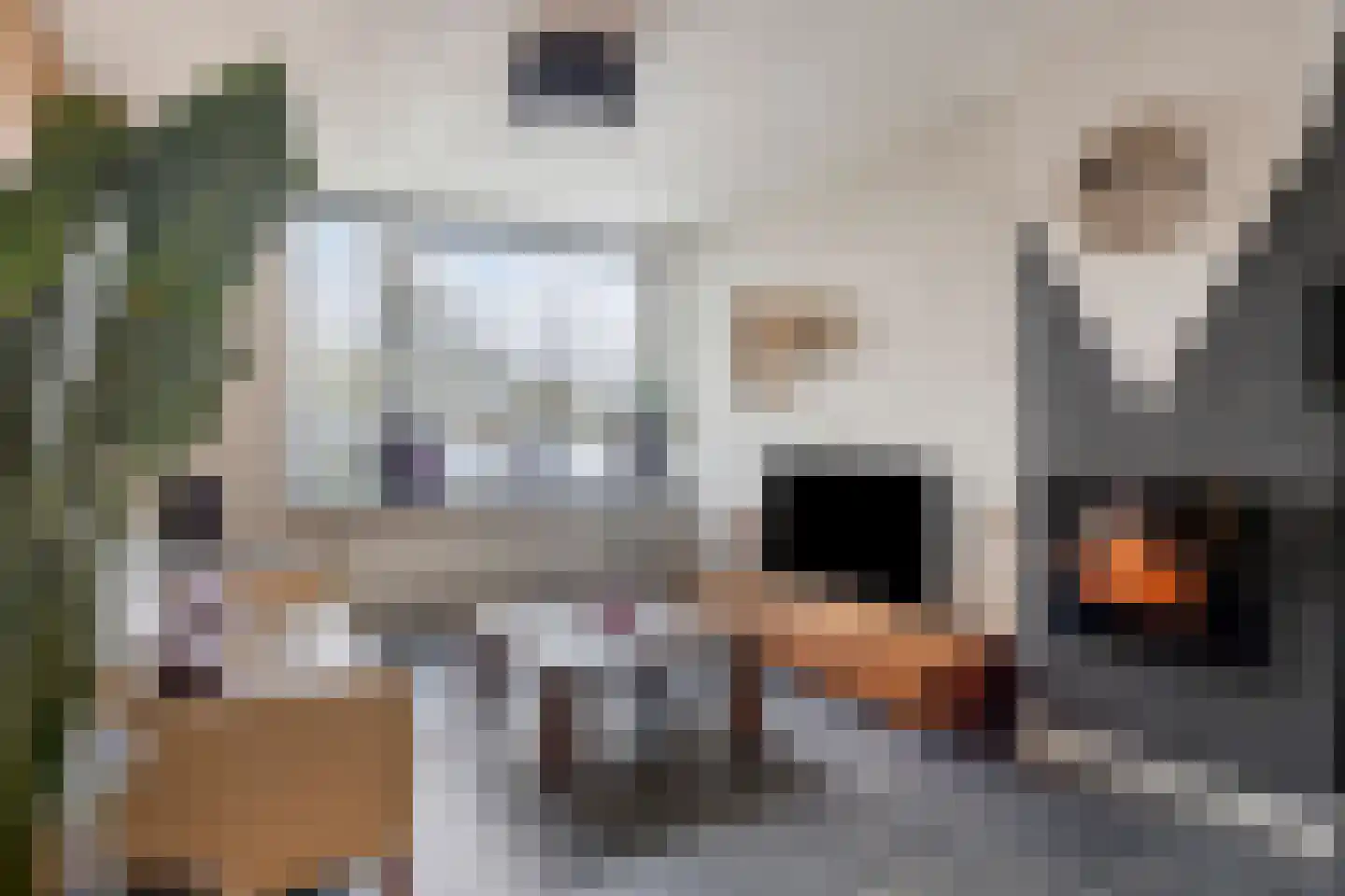 Potgieterstraat 20 Vlijmen thumbnail 12