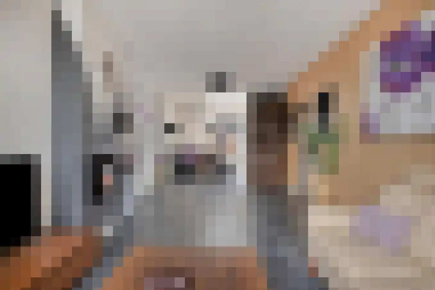 Potgieterstraat 20 Vlijmen thumbnail 13