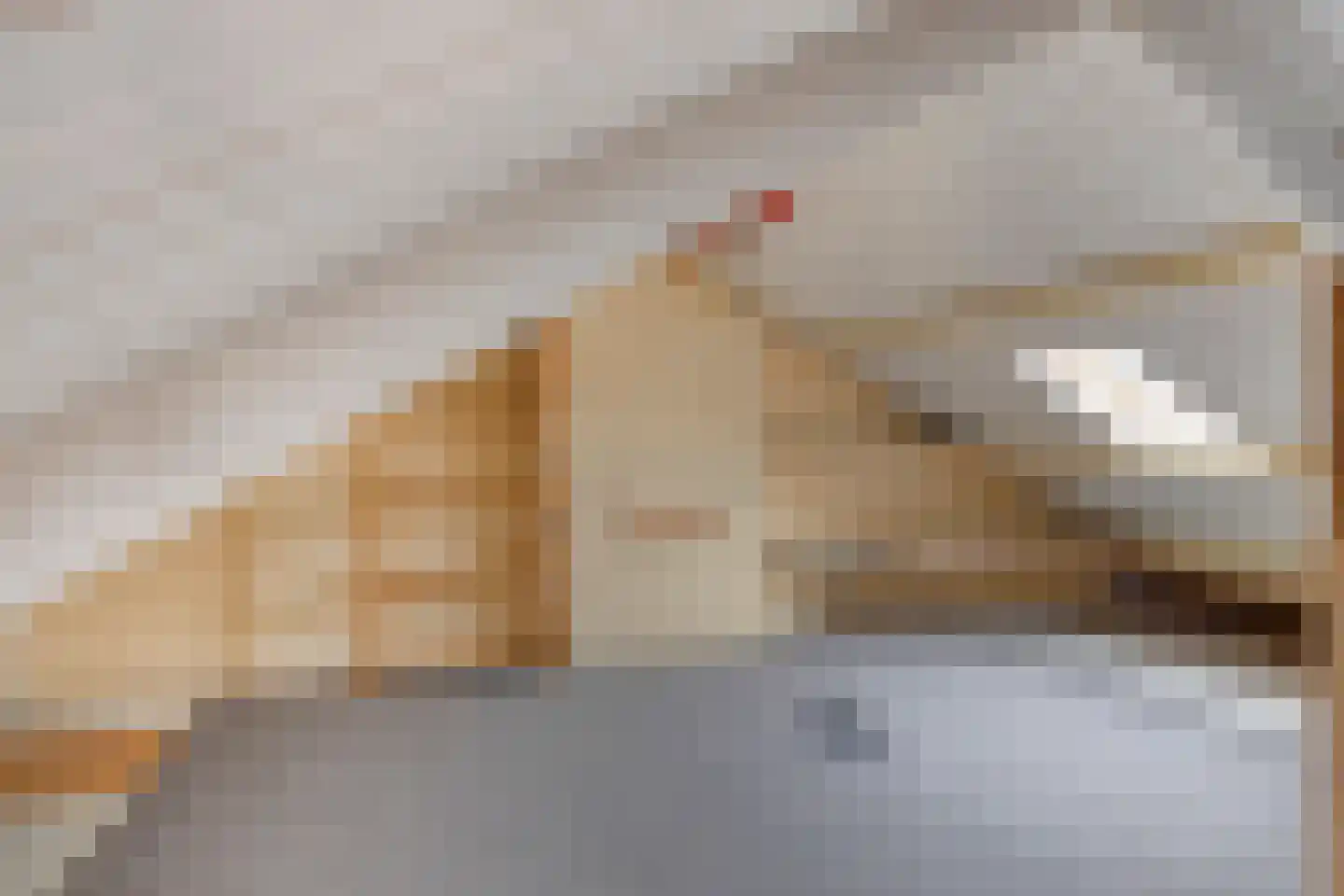 Potgieterstraat 20 Vlijmen thumbnail 26