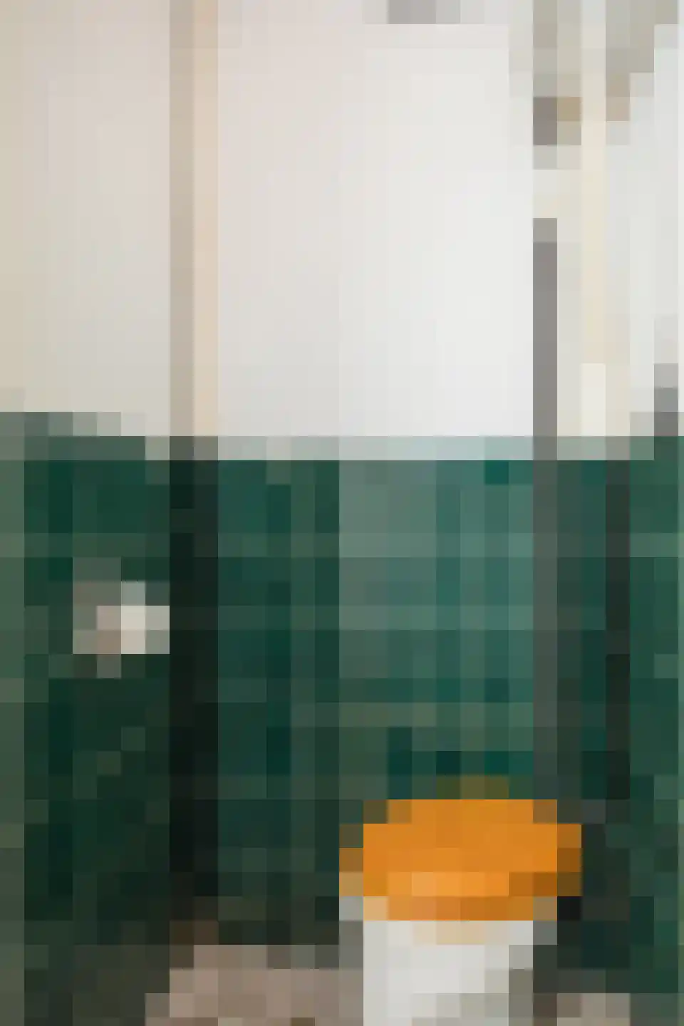 Potgieterstraat 20 Zutphen thumbnail 4