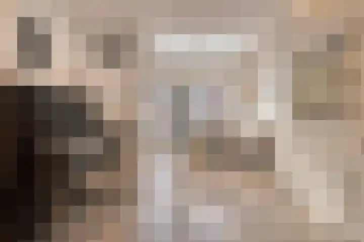 Potgieterstraat 22 Gemert thumbnail 11