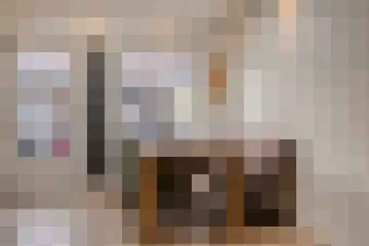 Potgieterstraat 22 Gemert thumbnail 13