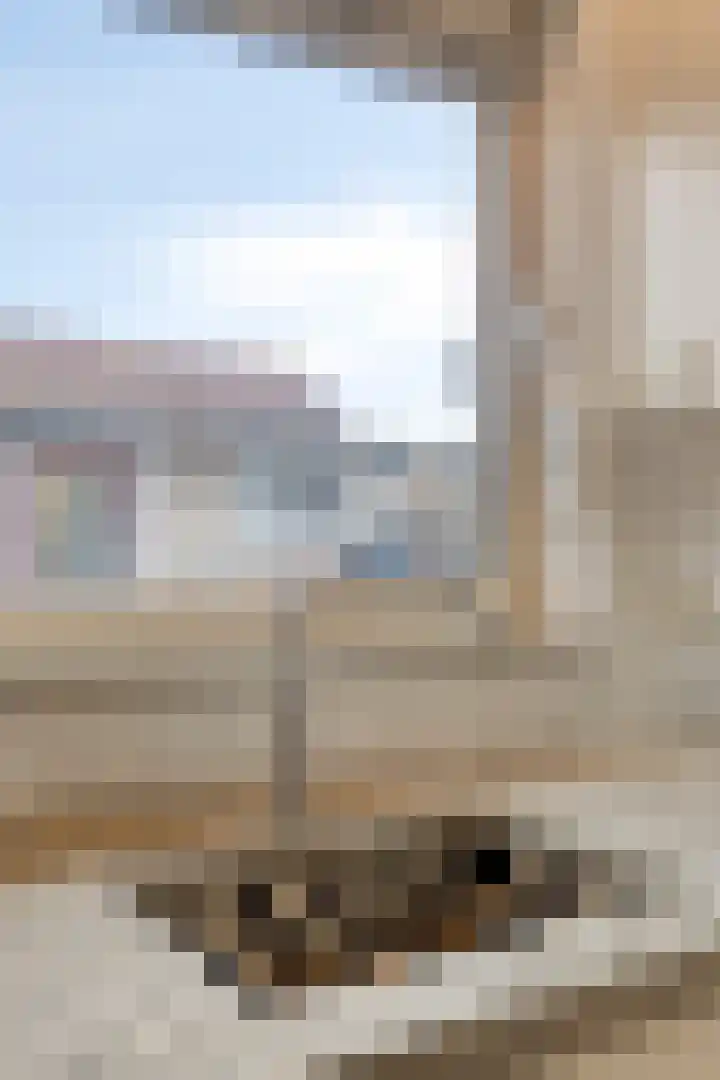 Potgieterstraat 22 Gemert thumbnail 16