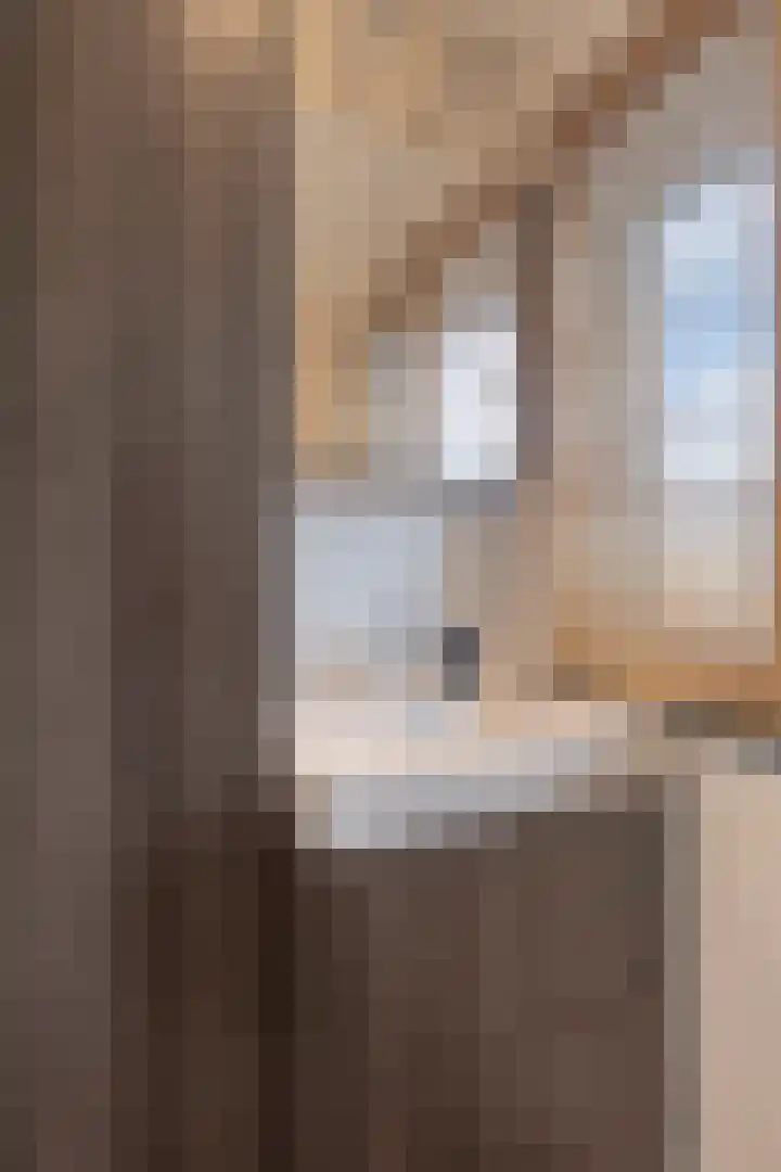 Potgieterstraat 22 Gemert thumbnail 26