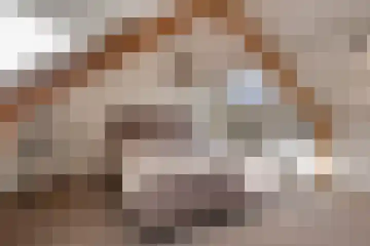 Potgieterstraat 22 Gemert thumbnail 30