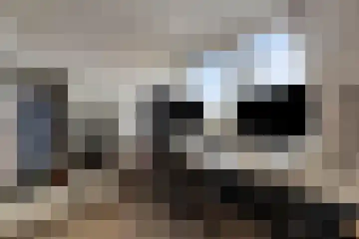 Potgieterstraat 22 Gemert thumbnail 32