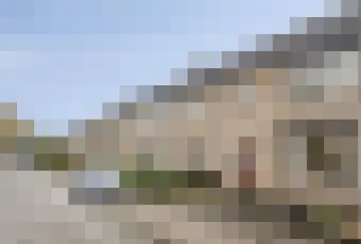Potgieterstraat 22 Gemert thumbnail 33