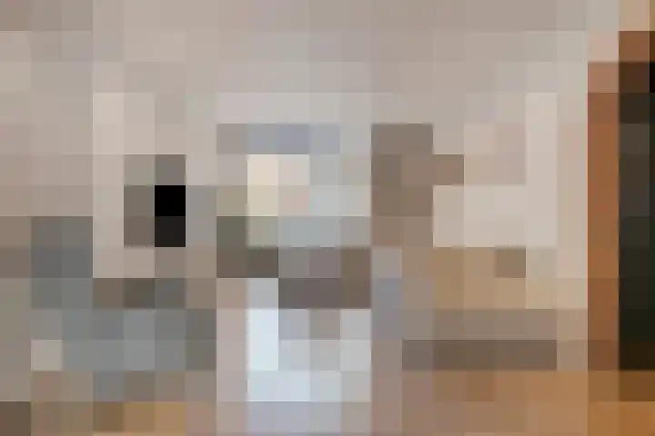 Potgieterstraat 22 Gemert thumbnail 8