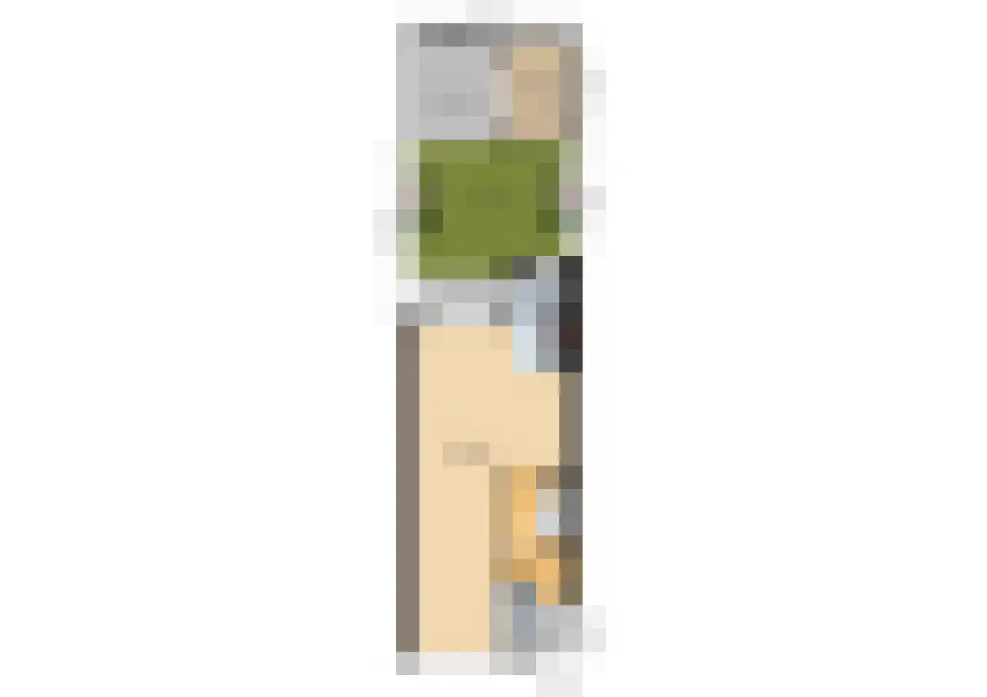Potgieterstraat 22 Schiedam thumbnail 54