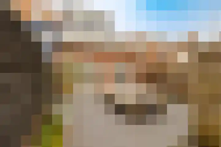 Potgieterstraat 23 Haarlem thumbnail 21
