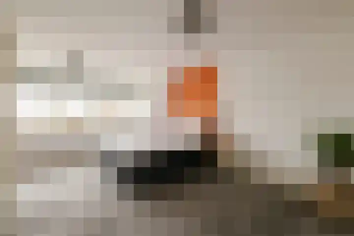 Potgieterstraat 23 Haarlem thumbnail 38