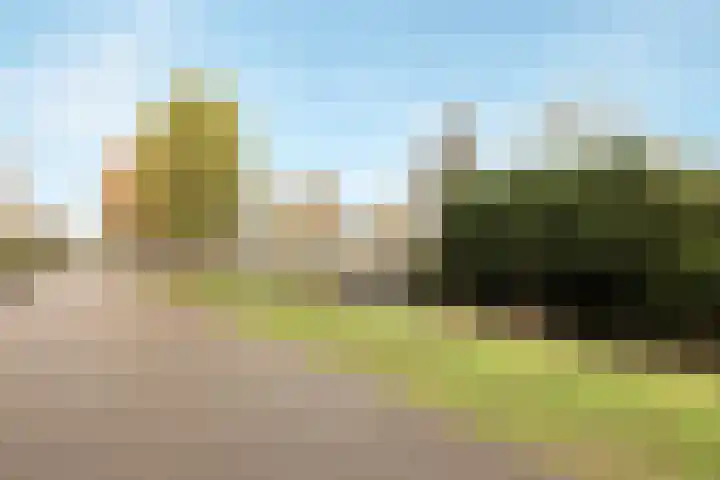 Potgieterstraat 23 Heerhugowaard thumbnail 35
