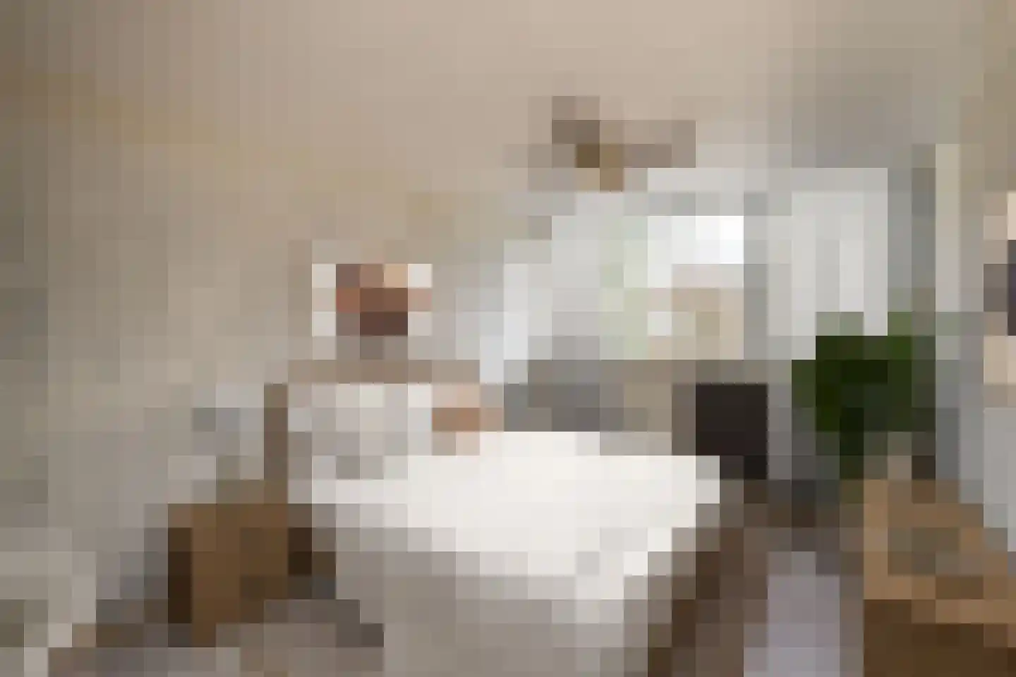 Potgieterstraat 23 Oss thumbnail 11