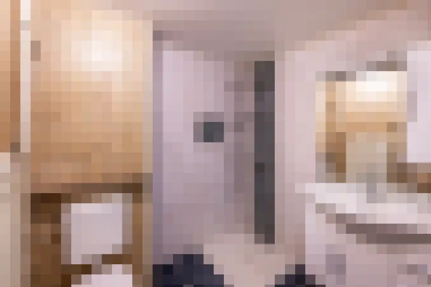 Potgieterstraat 23 Oss thumbnail 16