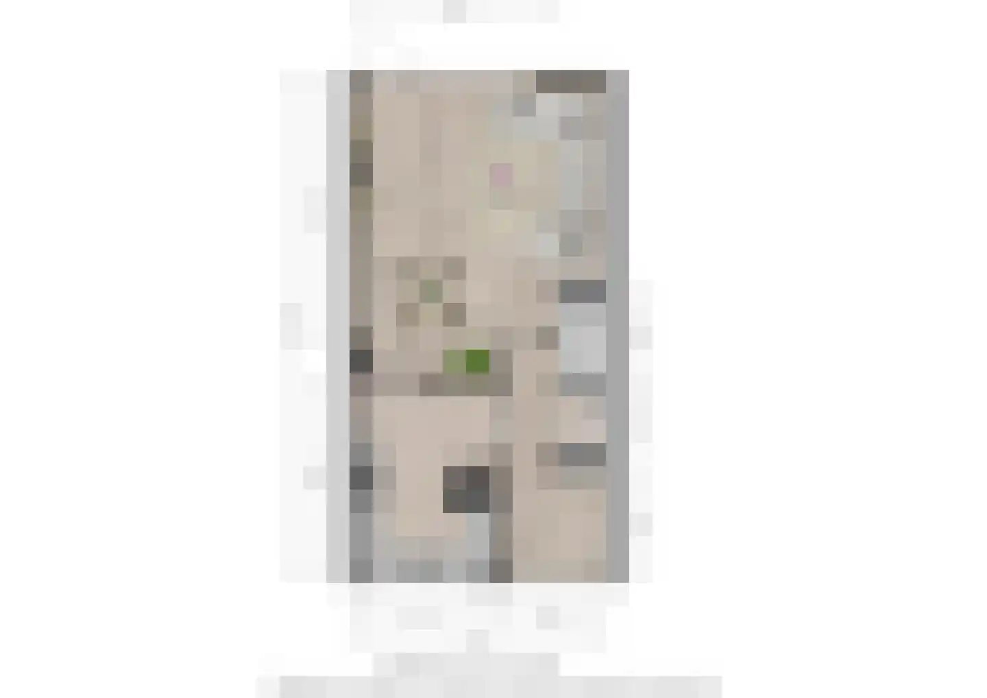 Potgieterstraat 23 Oss thumbnail 23